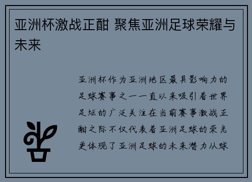 亚洲杯激战正酣 聚焦亚洲足球荣耀与未来